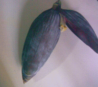 Banana Flower, cooked one increases more heomoglobin cells.