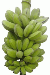 Oh, the cheapest and commonly available Banana, everywhere.