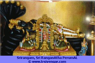 Srirangam, Sri RanganAthar