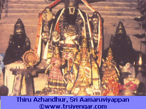 Thiru Azhandhur, Sri AAmaruviyappan