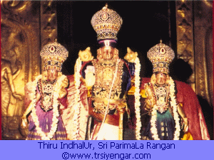 Thiru IndhaLUr, Sri ParimaLa rangan