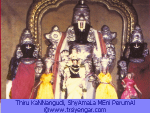 Thiru KaNNangudi, sri shyAmaLa mEni perumAL