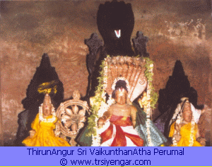 Vaikuntha viNNagaram, Sri VaikunthanAthan