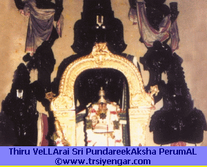Thiru veLLArai, Sri Pundareekakshan