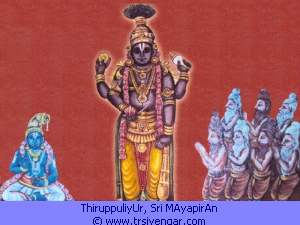 ThiruppuliyUr, Sri MAyapirAn