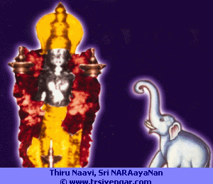 Thiru nAvi, Sri nArAyanaN
